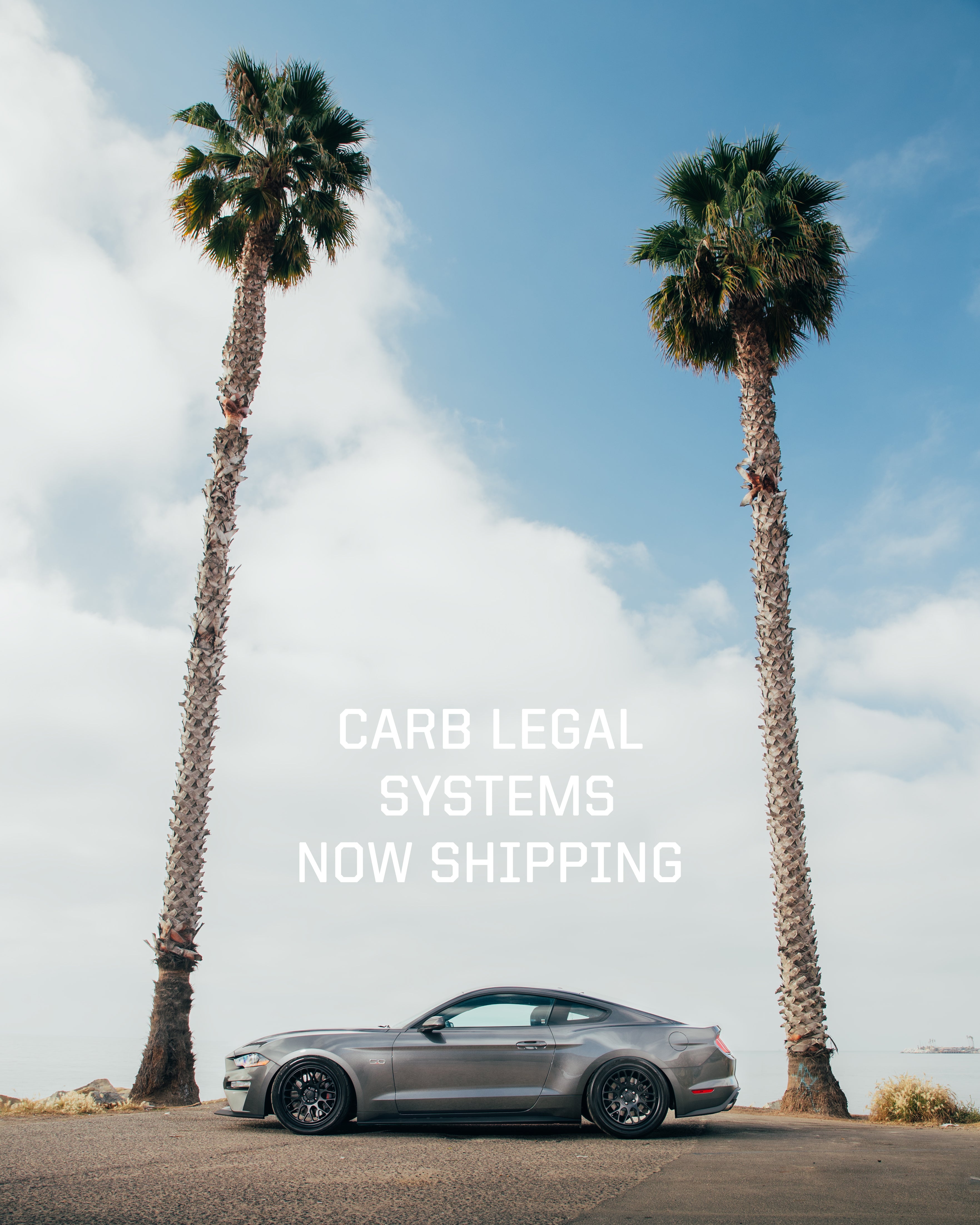 Complete Systems for 2018 5.0L Mustang GT Now Available & CARB Approved...